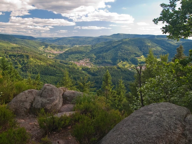 Blick ins Murgtal nahe Elsbethhütte