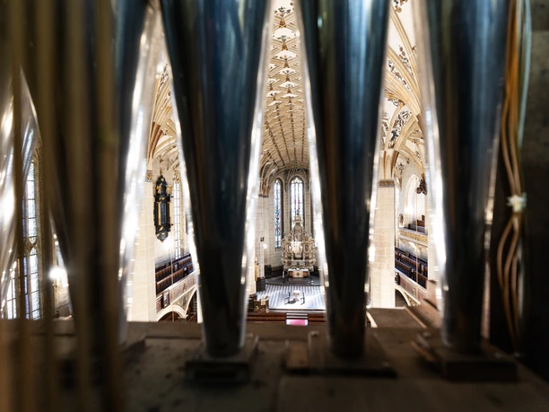 St.Marien_Kirche_Pirna_2025©PhilippHerfort_Photography-19.jpg View of the interior of St. Mary's Church in Pirna through organ pipes.