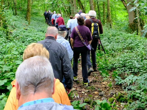Wandergruppe rund um Aremberg