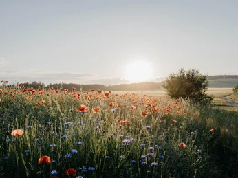 Urlaub in wunderschöner Landschaft