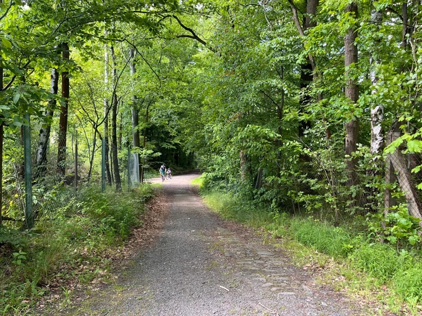 Fahrradweg am Feldbahnmuseum