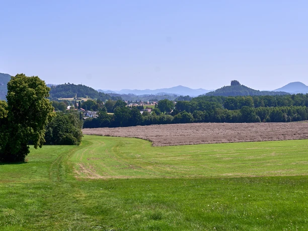 Blick vom Wolfsberg Grüne Wiese mit Pfad, Bäumen und Hügeln im Hintergrund unter blauem Himmel.