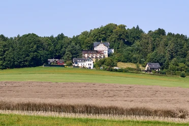 Hotel Wolfsberg with a red roof behind a field and trees under a blue sky on a hill.