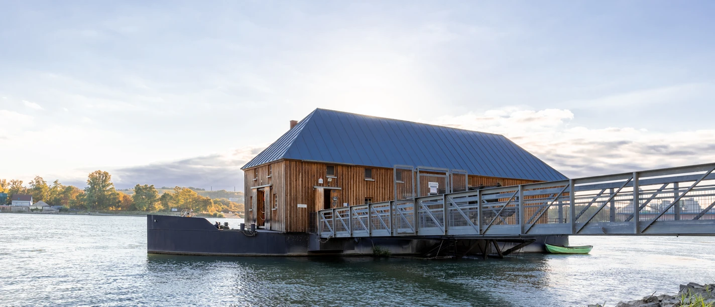 RheinMain Kreis Groß-Gerau Ginsheim Schiffsmühle