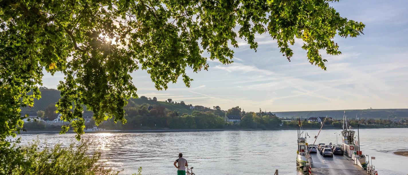 RheinMain Kreis Groß-Gerau Kornsand Rheinfähre