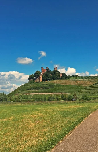 Blick auf das Schloss Ortenberg