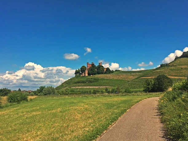 Blick auf das Schloss Ortenberg