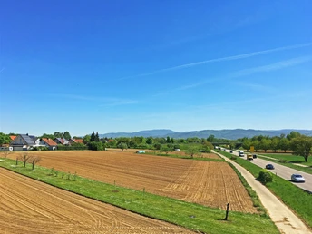 Radweg bei Appenweier an B28