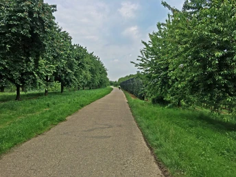 Radweg nach Zusenhofen