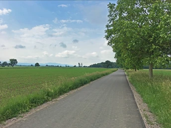 Radweg im Rheintal