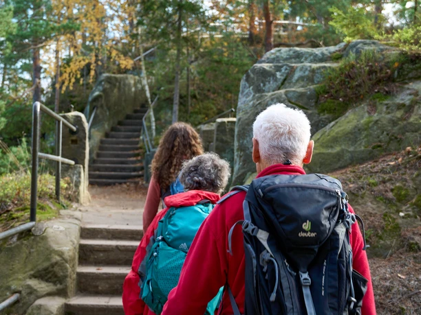 Three hikers with rucksacks walk up a stone staircase in the forest.