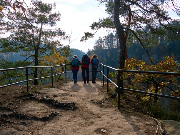 Drei Personen wandern auf einem Waldweg mit Geländer und Aussicht auf Bäume.