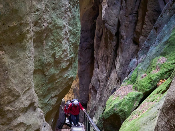 Wolfsschlucht Hockstein bei Hohnstein Person steigt schmale Treppe in enger Felsenschlucht hinauf.