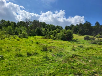 poi-0_titelfoto-wacholderheide.jpg