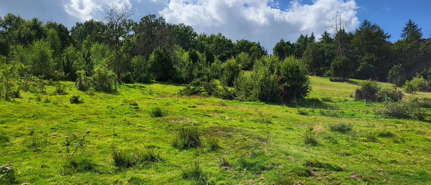 poi-0_titelfoto-wacholderheide.jpg