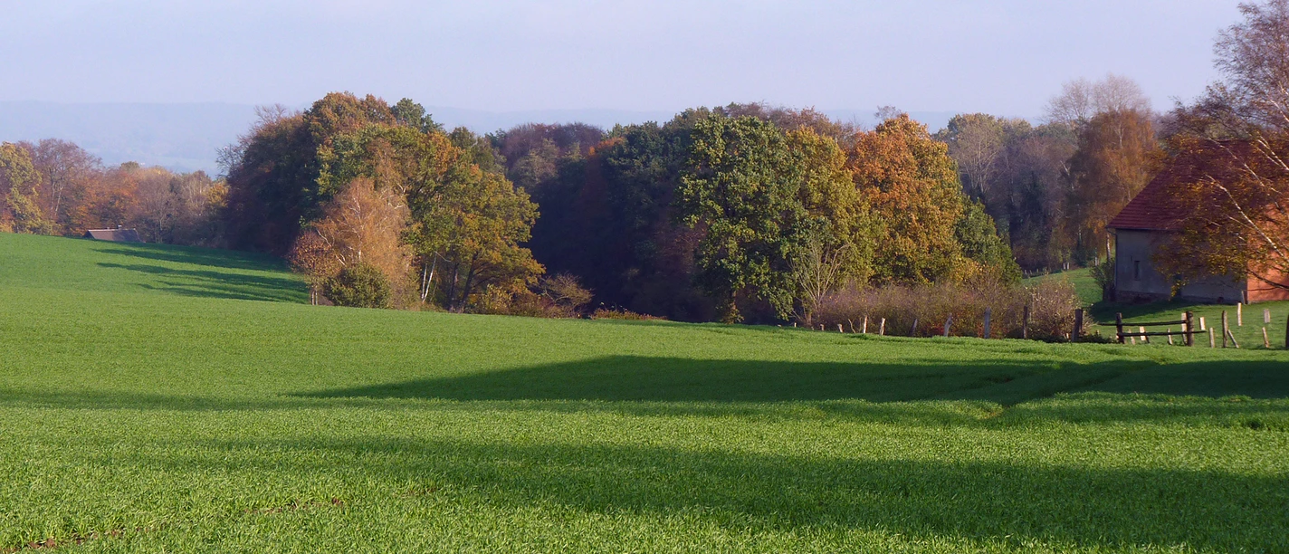 poi-0_titelbild_sudbachtal_gruenland01.JPG