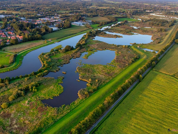 Süsswasserwatt Luftaufnahme des Süßwasserwatts mit Wasserflächen, grünen Wiesen und angrenzender Ortschaft.