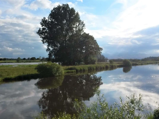 Flusslandschaft mit spiegelndem Wasser, grünen Wiesen und einer großen Baumgruppe unter Wolkenhimmel