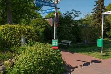 DSC07213-Nr11.JPG