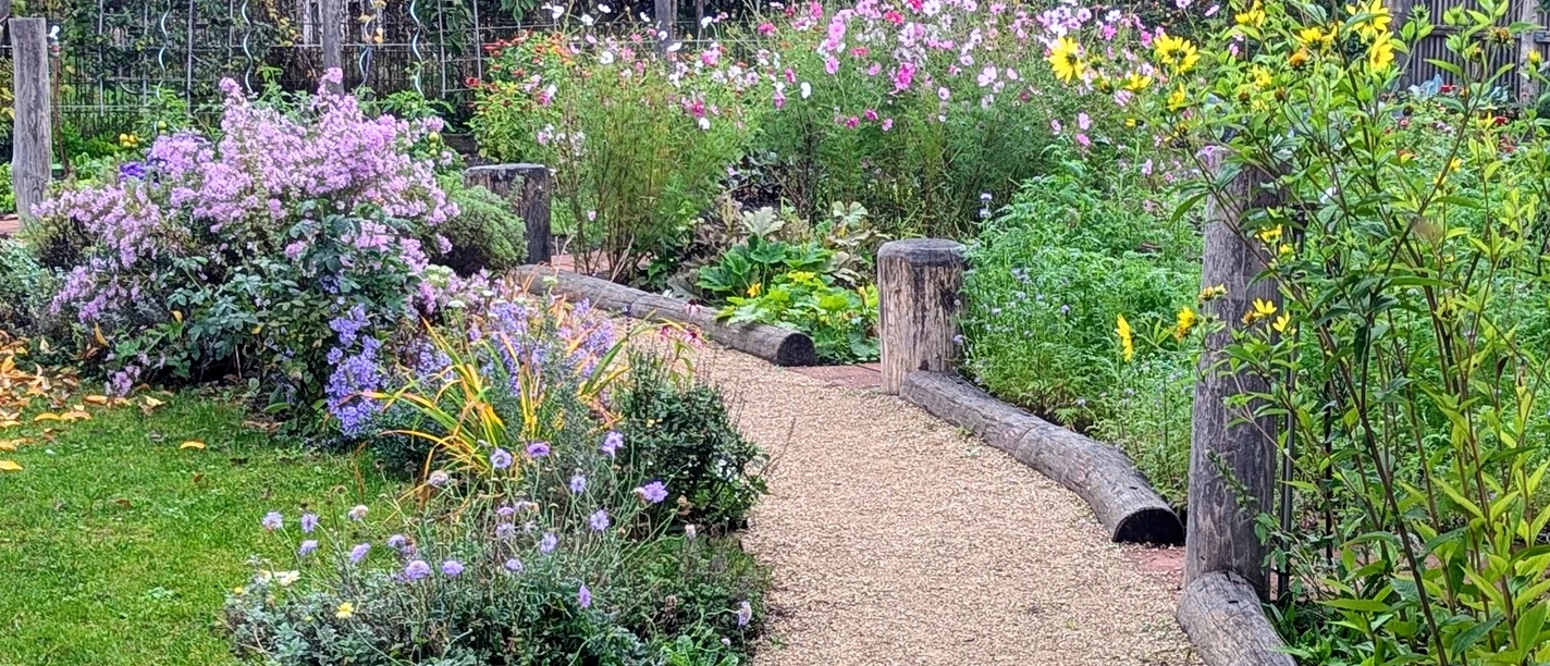 Gemeinschaftsgarten Ein kleiner, gepflasterter Weg führt durch einen farbenfrohen Garten mit Blumenbeeten und Sträuchern.