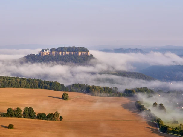 Aussicht vom Pfaffenstein Richtung Königstein Festung Königstein über Nebelmeer, umgeben von Wald und Feldern im Morgenlicht.