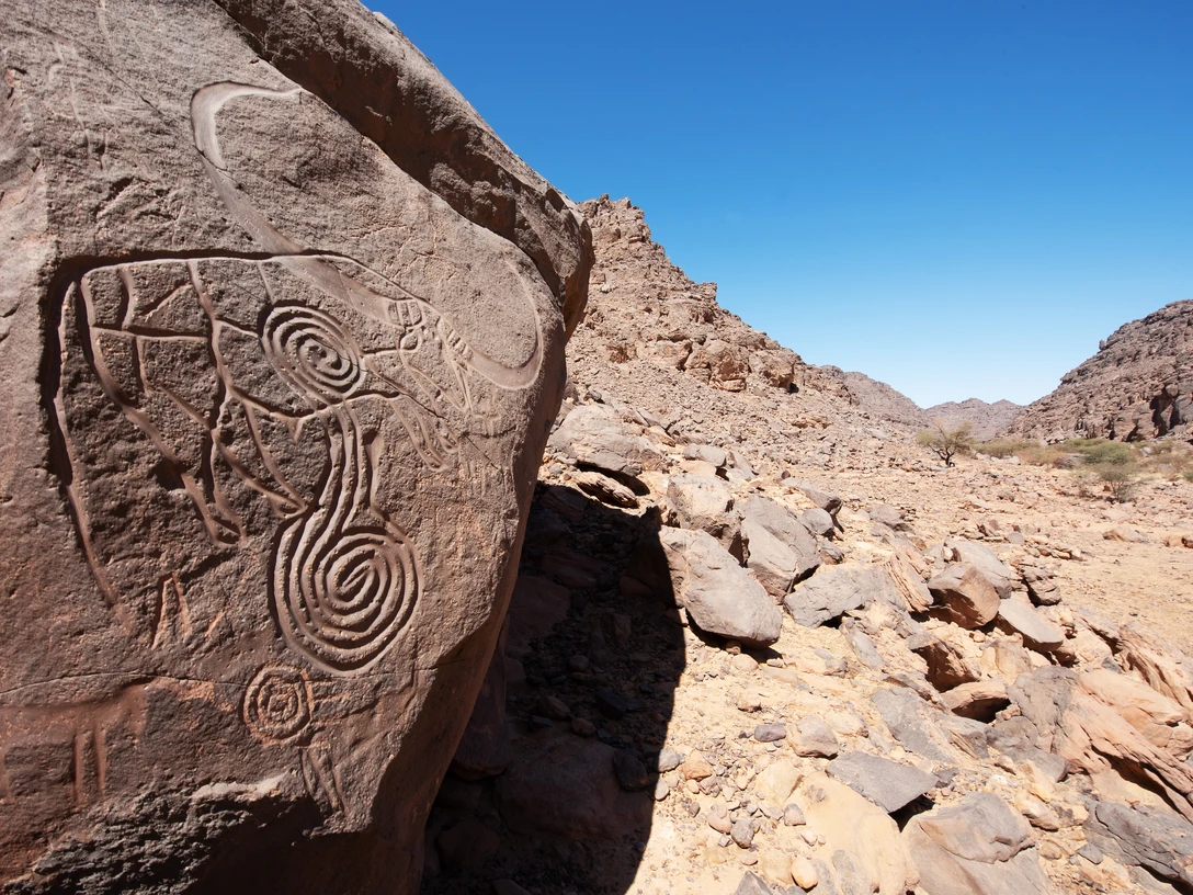 Prähistorische Felszeichnung, Sahara