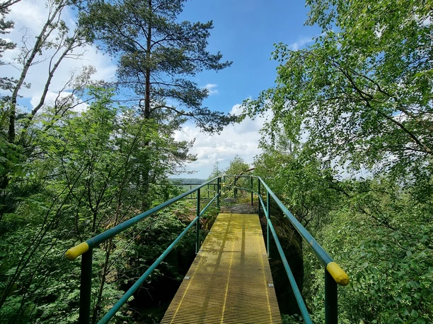 Metalen loopbrug in het bos met leuningen, omringd door groene bomen en blauwe lucht.