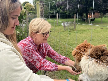 Damen mit Alpakas.jpeg