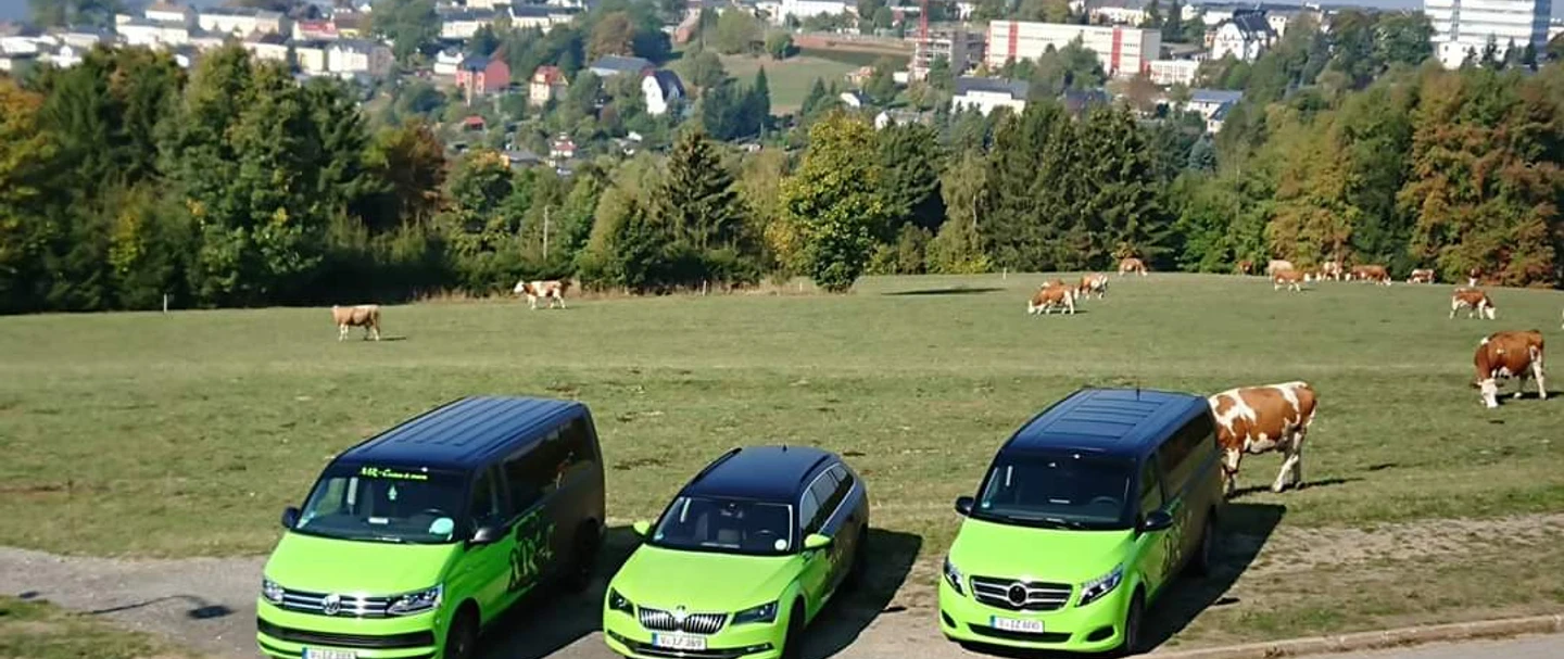 MC Cruise & More Fuhrpark