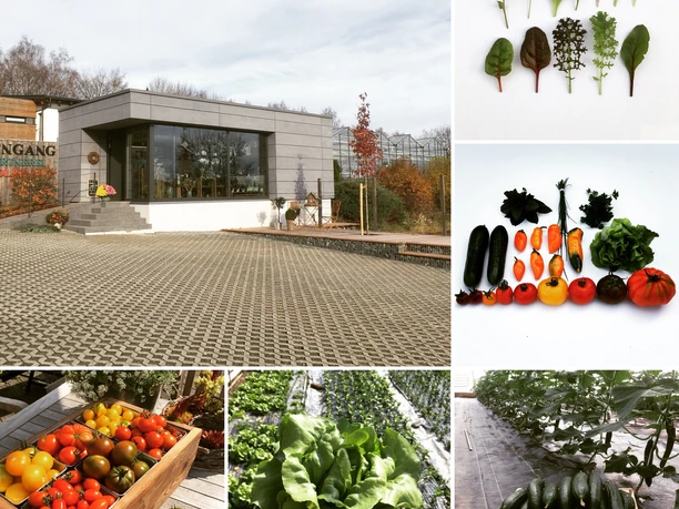 Gärtnerei Stolpe - Übersicht