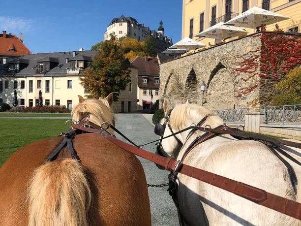 Unterwegs mit starken Pferden