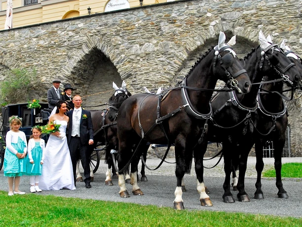 Pferdekutsche vor dem Unteren Schloss in Greiz
