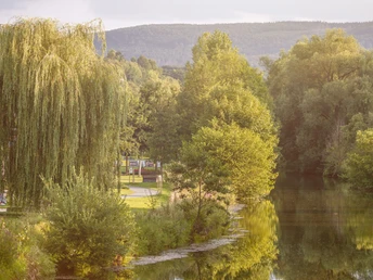 Blick in den Emmerauenpark