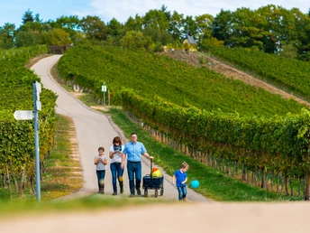 Familie Annis Schwarzwaldgeheimnis