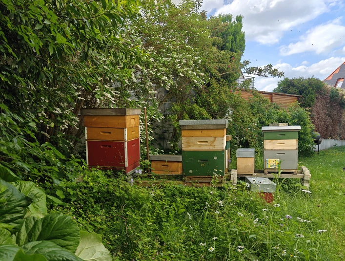 2025 Standort-Kirchditmold_Hendrik Pulju_ccby Naturpark Habichtswald