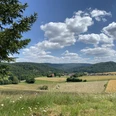 Panorama auf dem Rundweg Schierberg 1