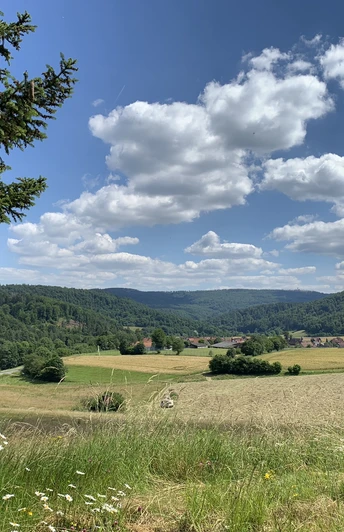 Panorama auf dem Rundweg Schierberg 1