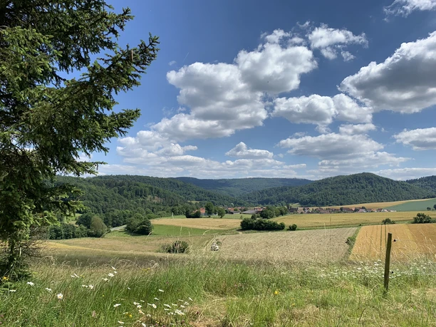 Panorama auf dem Rundweg Schierberg 1
