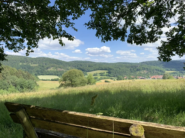 Panorama auf dem Rundweg Schierberg 1