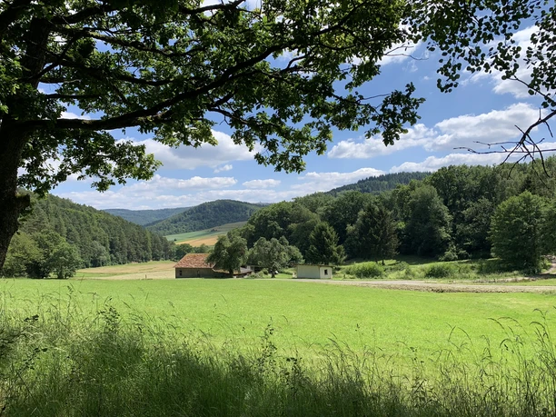 Panorama auf dem Rundweg Schierberg 1