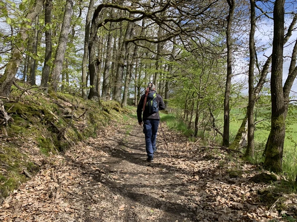 Unterwegs auf dem Spicke Rundweg 1 bei Edertal-Kleinern
