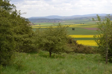 Blick vom Böhlenberg auf Immighausen