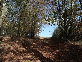 Unterwegs auf dem Rundweg Immighausen