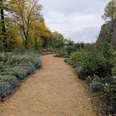 ©Bastian Ulrich - Rosengarten 1 Ein goldener Herbstweg, gesäumt von sich verfärbenden Bäumen und blühenden Pflanzen.