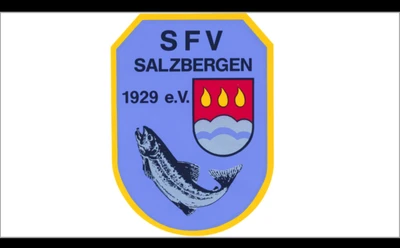 SFV Logo.jpg