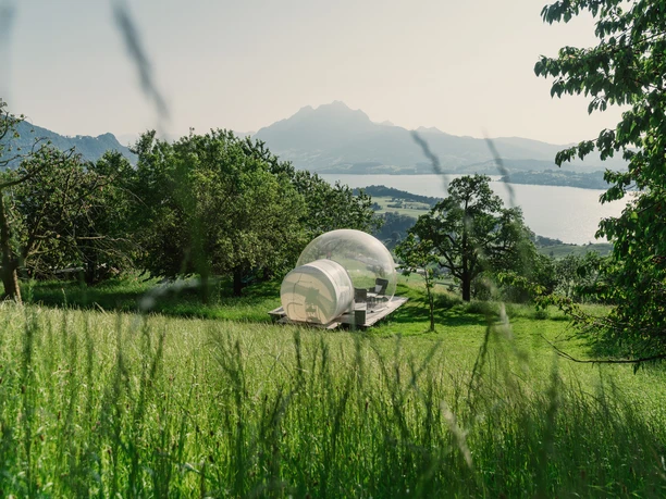 Bubble Tent Bubble Tent mit Panoramasicht