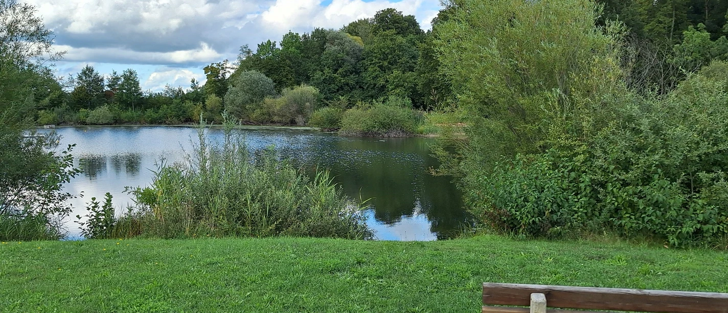 Anglersee Brand Wagshurst