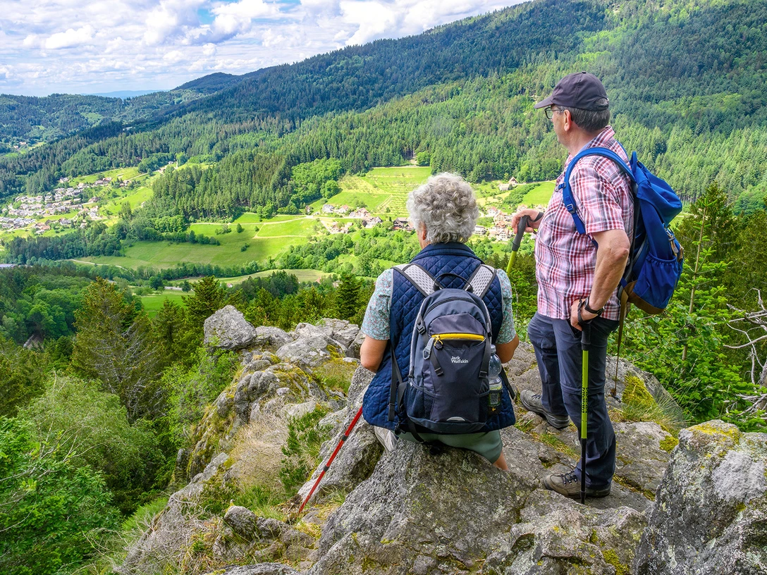 Ausblick vom Scherzenfelsen am Bosensteiner Almpfad