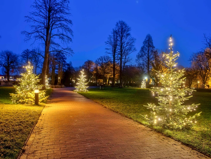 weihnachtsbeleuchtung_kurpark Beleuchtete Tannen entlang eines Weges im Kurpark bei Abenddämmerung mit warmem Lichterglanz.