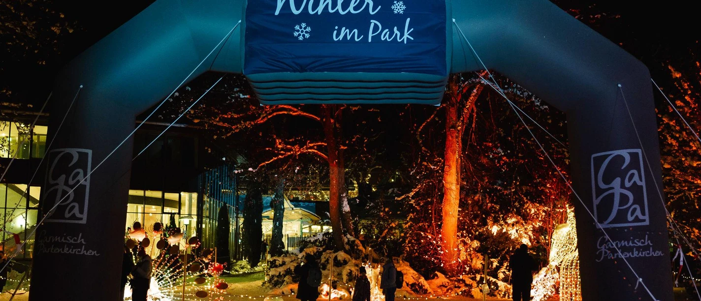 Winter im Park